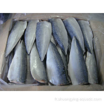 Exportation de fruits de mer Frozen Mackerel Filet Prix Poisson